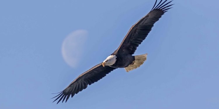 January 2021 Readings