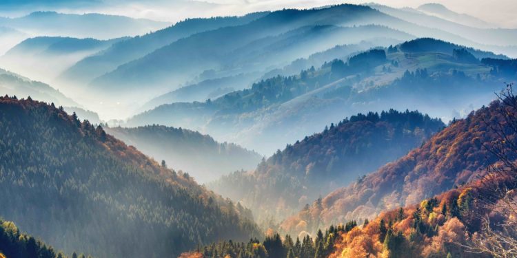 February 2021 Readings