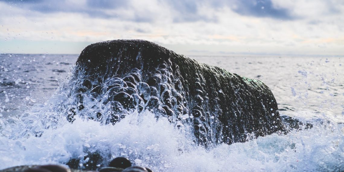 What Can You Stand Upon?