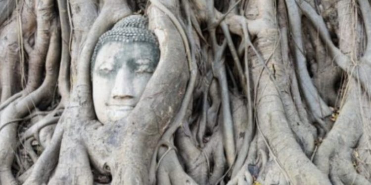 October 2021 Readings