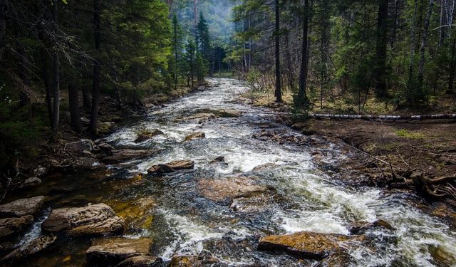 November 2021 Readings