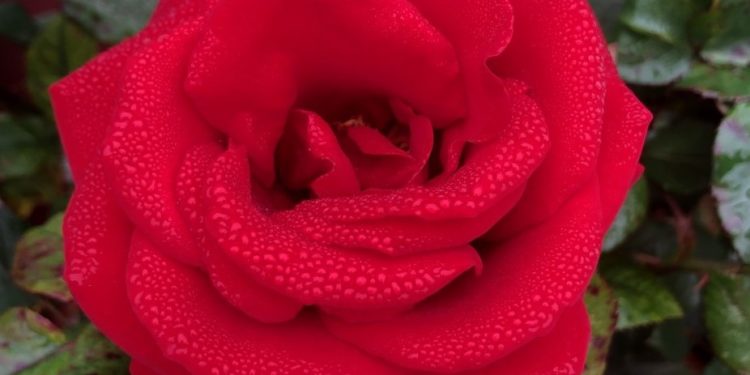 January 2022 Readings