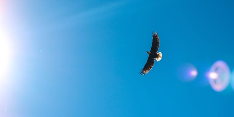 February 2022 Readings