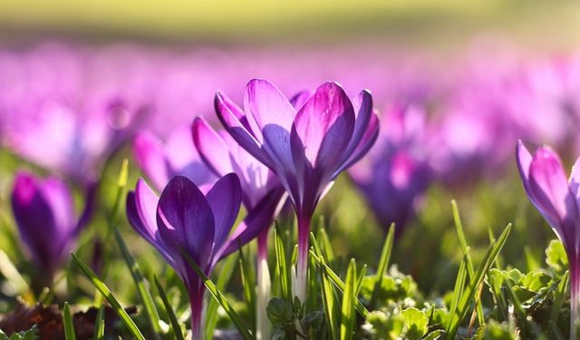 Two Poems by Lynn Ungar