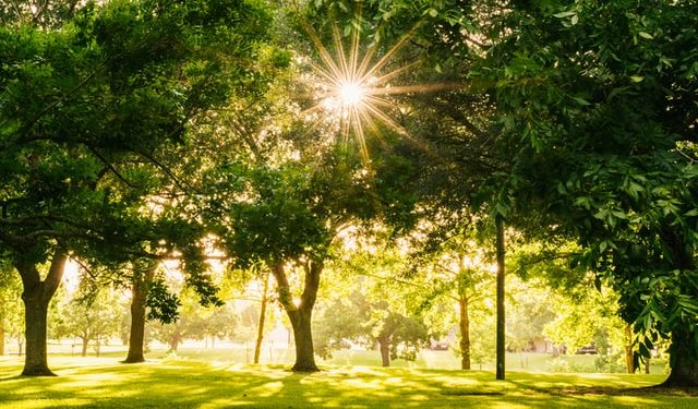 It Won’t Be the Way You Think