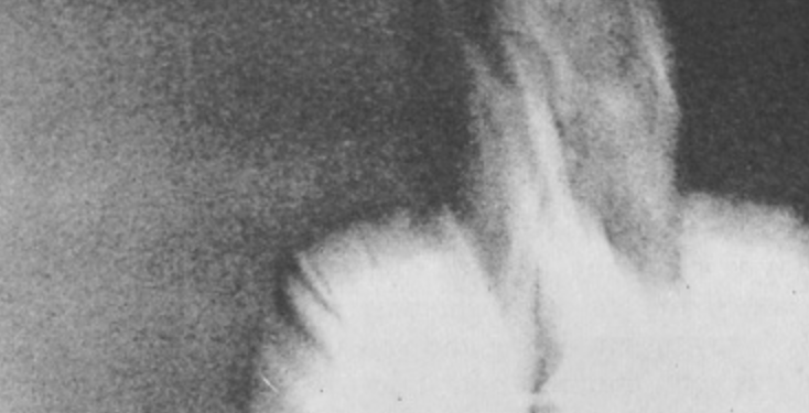 The Whole Existence Consists of Light