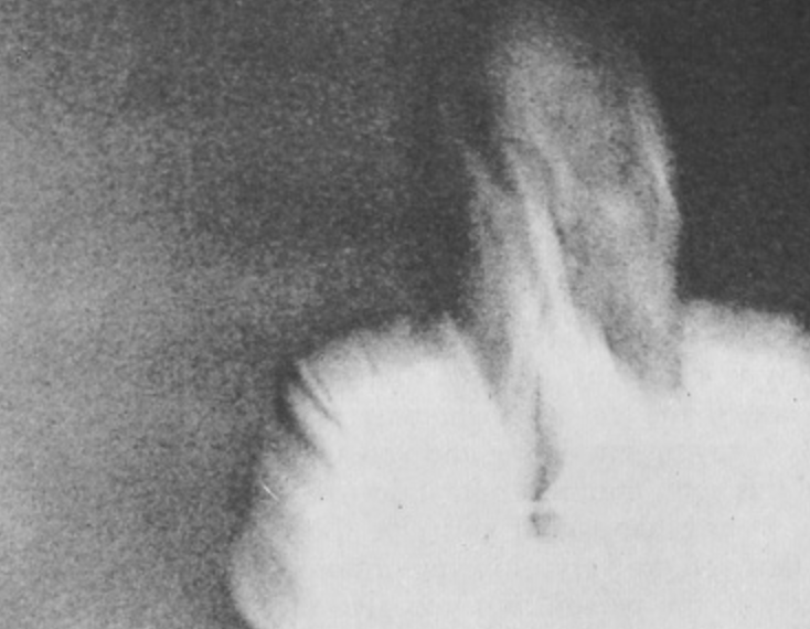 The Whole Existence Consists of Light