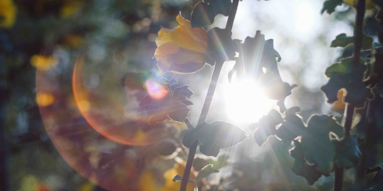 Bursts of Light and Fire