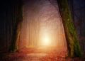 January 2023 Readings
