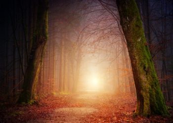 January 2023 Readings