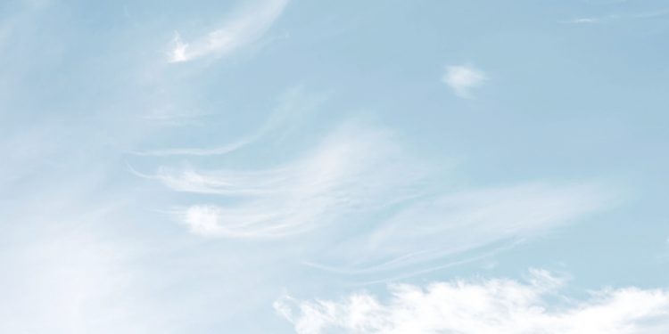 No Expectations, No Plans