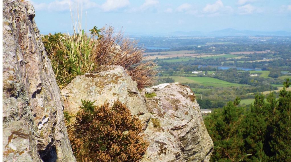 View from a Mountain
