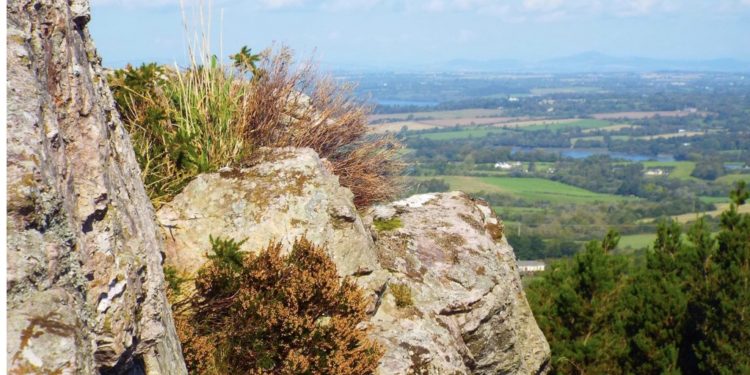 View from a Mountain