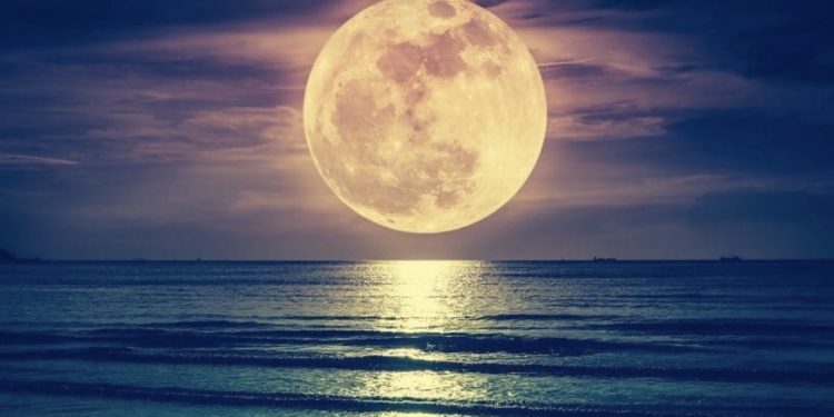 The Moon Shows the Way