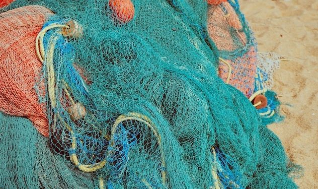 There But for the Grace