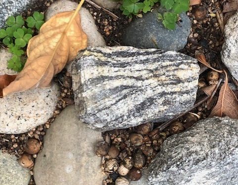 The Astonishing Reality of Things