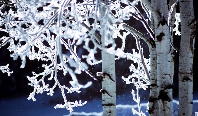 Water’s Prayer – A little rain, a little snow, love, trust, and beauty