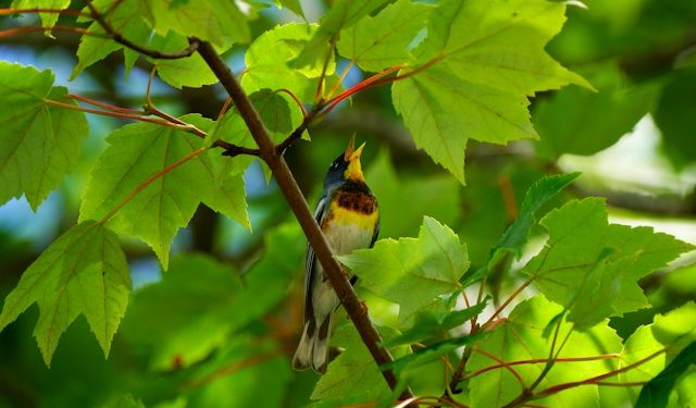 January 2024 Readings