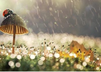 In the Point of Rest