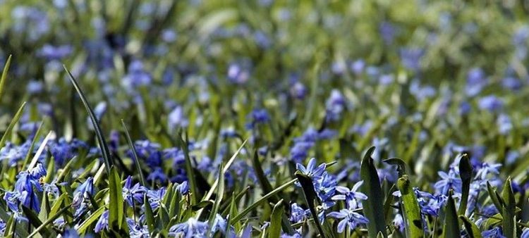 There Is No Word for Goodbye