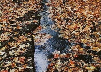 oh what is that beautiful thing that just happened?