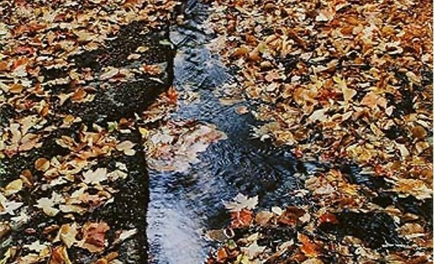 oh what is that beautiful thing that just happened?