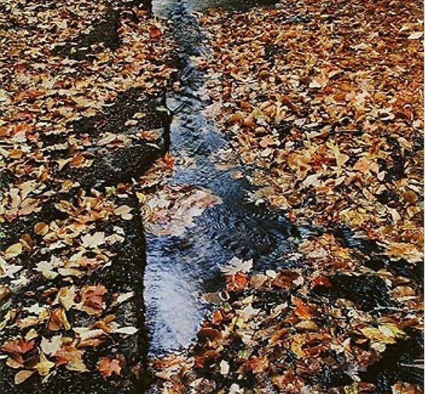 oh what is that beautiful thing that just happened?