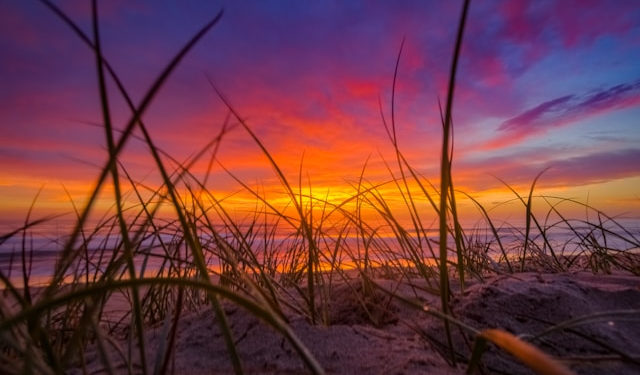 Where We Fail, Catch Hold Again, and Climb