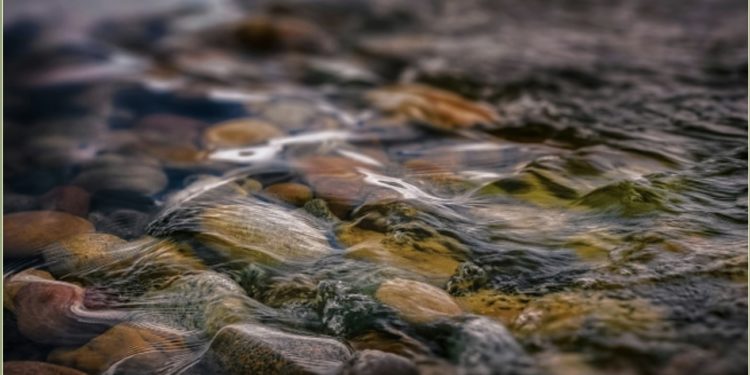 The Bottom Is Pebbly With Stars