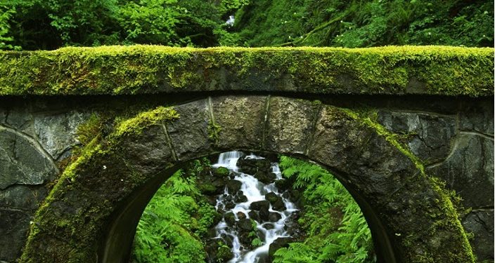 August 2024 Readings