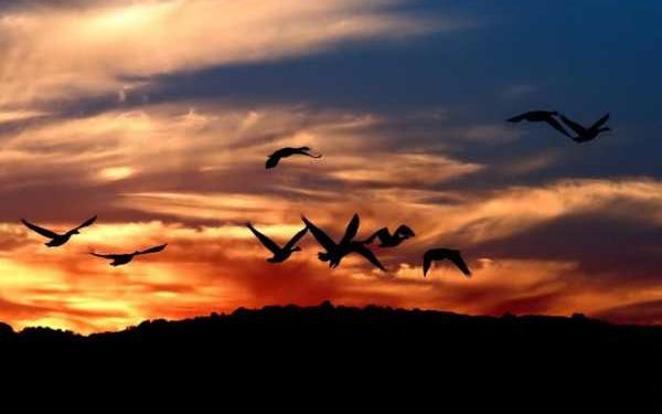 What I Must Tell Myself