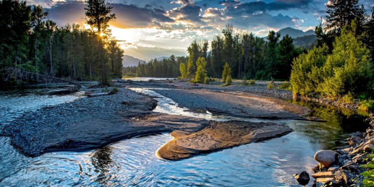 What the River Says, I Say