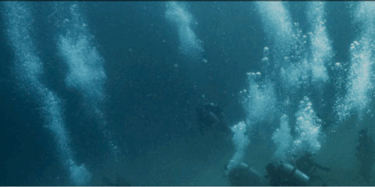 Walking from Honduras