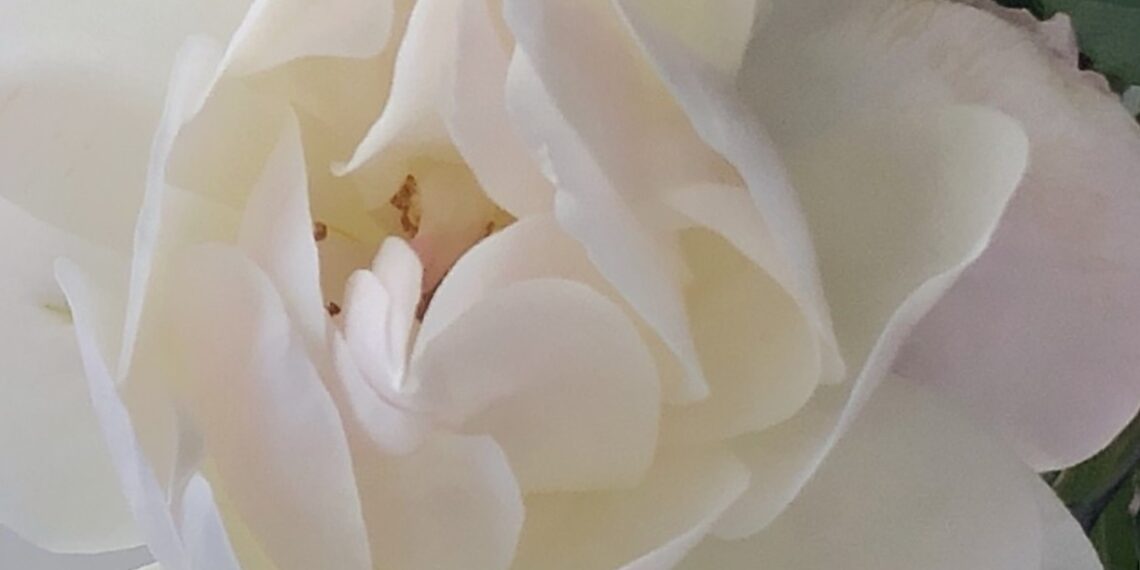 Is This the Path of Love