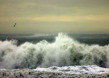 October 2025 Readings