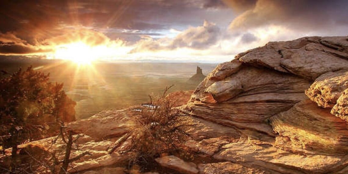 Three Poems for the New Year