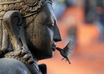 February 2026 Readings