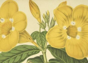 A Telegram from the Heart in Exile