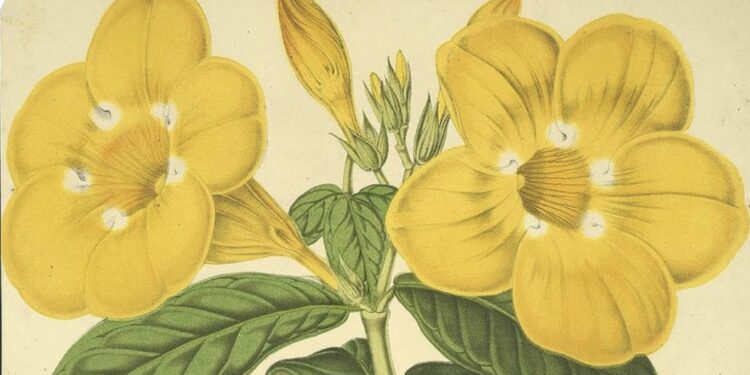 A Telegram from the Heart in Exile