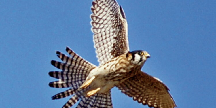 The Ordinary Miracles Begin