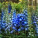 The Riverside Meadow, the Blue Lake, The Sweetness