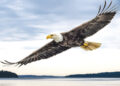 June 2026 Readings