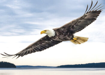 June 2026 Readings