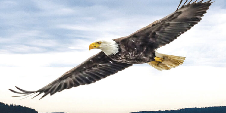 June 2026 Readings
