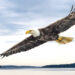 June 2026 Readings