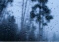Hurricane