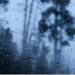 Hurricane